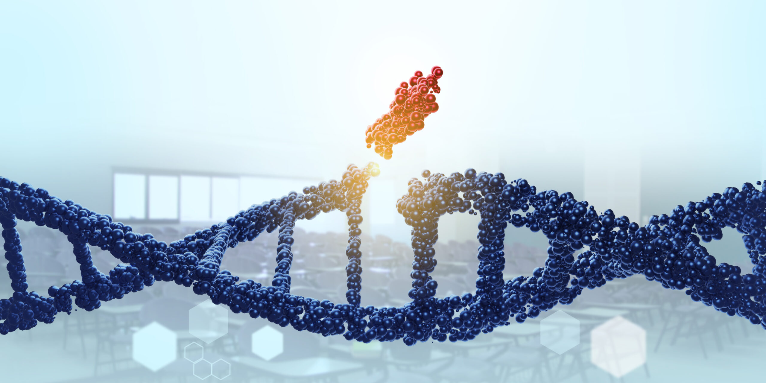 Il ruolo dei geni <br><b>Le mutazioni genetiche</b>