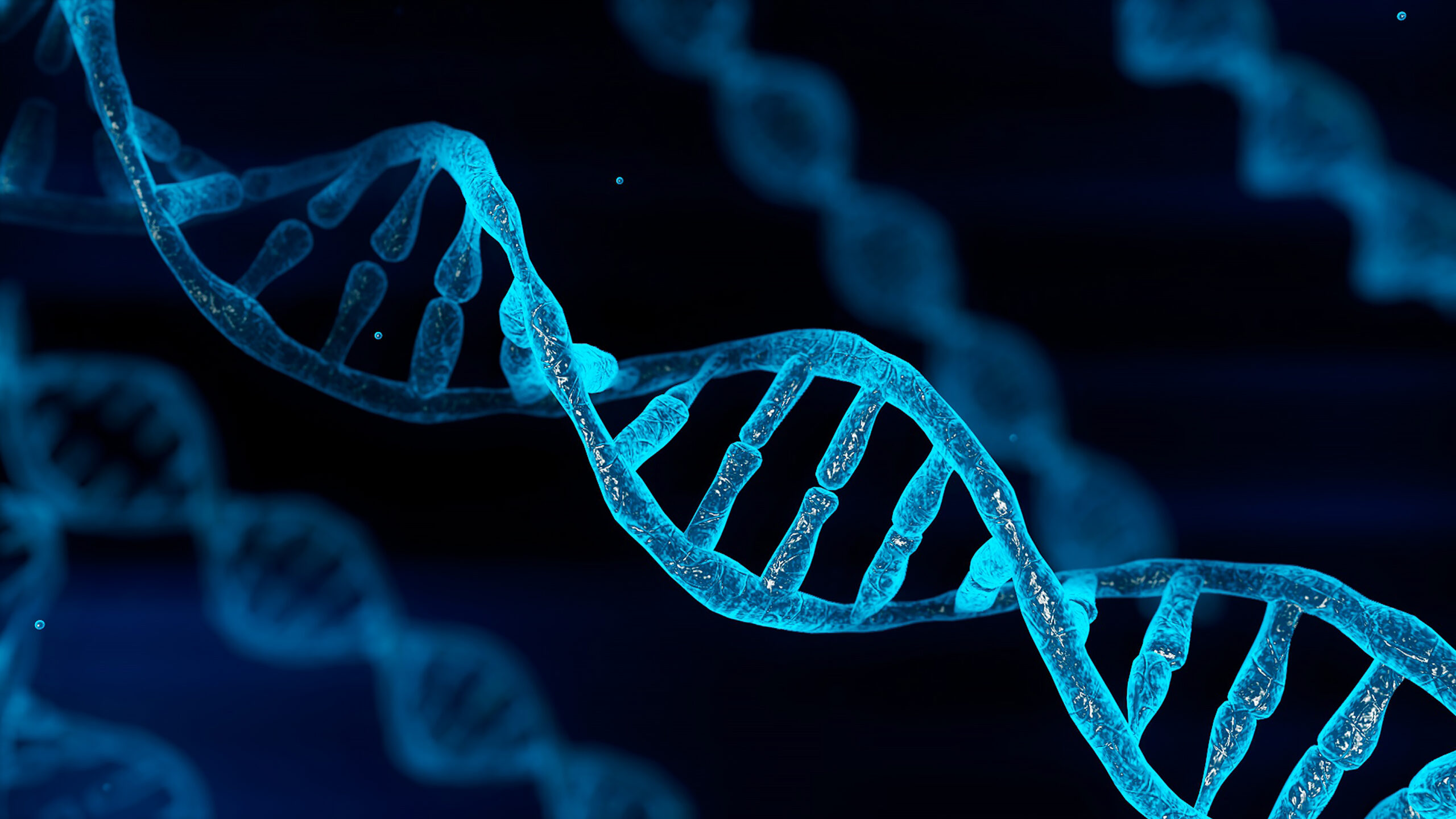 Il ruolo di geni e proteine <br><b>Il profilo molecolare e i test</b>